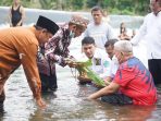 mandi 2