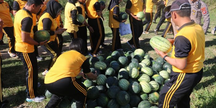 ANGGOTA POLDA PANEN SEMANGKA