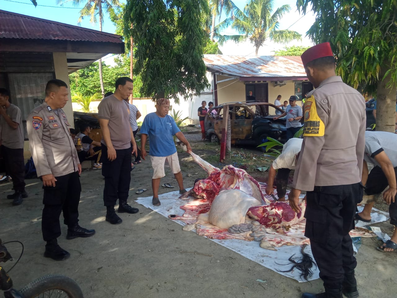 Pelaksanaan Kegiatan 'Qurban Presisi' penyembelihan hewan qurban sapi jantan di Mako Polsek Palu Selatan dihadiri Kapolsek dan jajaranya. Jumat, (30/6/2023). Foto : Ist. RN