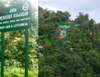 Dinilai Tebang Pilih, Balai TNBNW Ditantang Bersihkan PETI di Seluruh Kawasan Konservasi