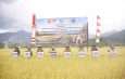 Pangdam XIII/Merdeka Turun ke Sawah Bolmong, Panen Raya Jadi Sinyal Kuat Perkuat Ketahanan Pangan