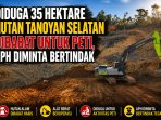 Diduga 35 Hektare Hutan Tanoyan Selatan Kawasan Jalur 7 Dibabat untuk PETI, Warga Desak APH Bertindak