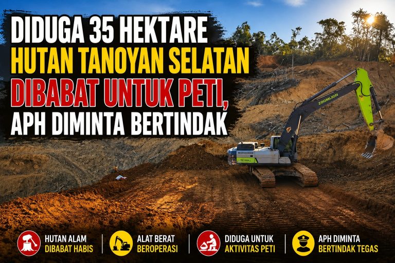 Diduga 35 Hektare Hutan Tanoyan Selatan Kawasan Jalur 7 Dibabat untuk PETI, Warga Desak APH Bertindak