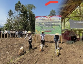 Ketahanan Pangan Jadi Prioritas Polsek Passi, Wakapolres Kotamobagu Pimpin Penanaman Jagung Serentak